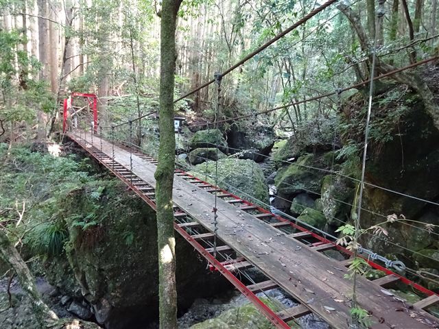 吊り橋1