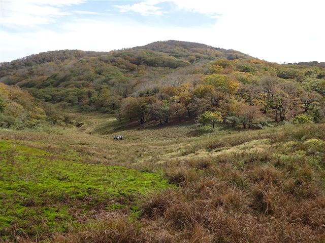 御池岳紅葉