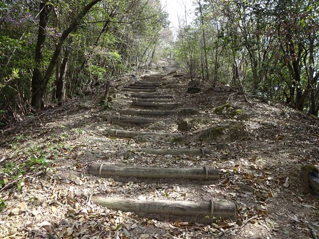 自然歩道2