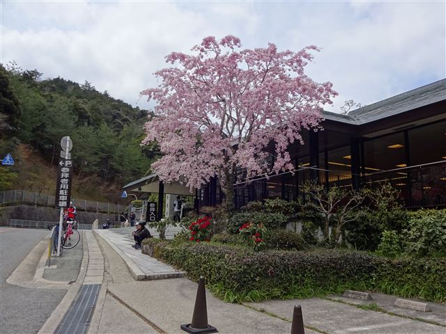 勝尾寺前