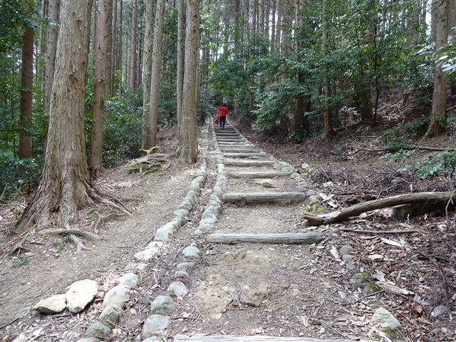 5号線2