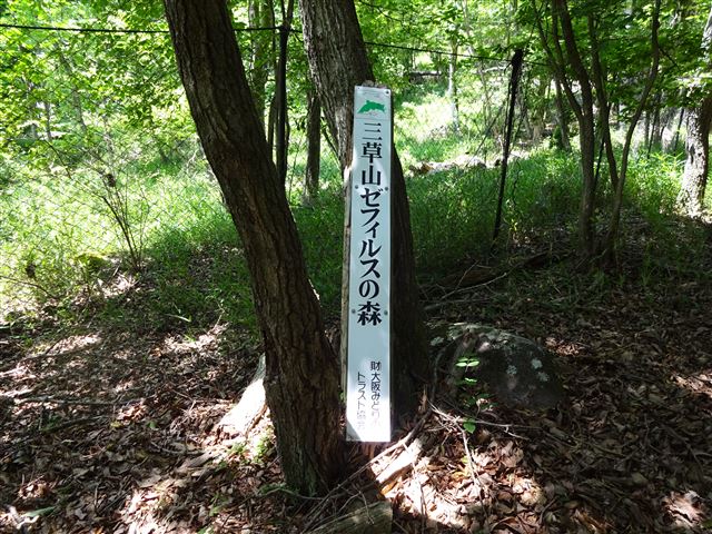 ゼフィルスの森