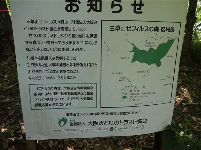 ゼフィルスの森