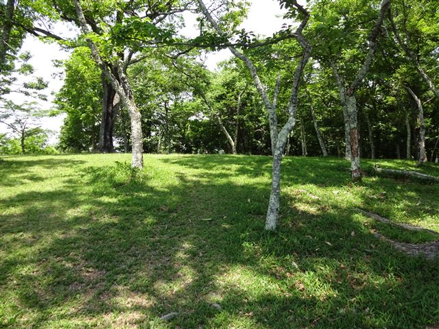 三草山頂上