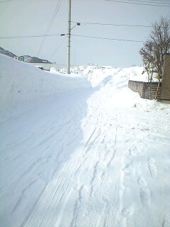 110129_1155~0001.jpg