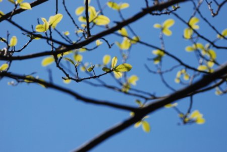 牧野ヶ池緑地