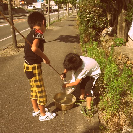 ぼくの夏休み