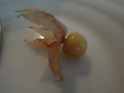 実十さんの桃のコンポート教室