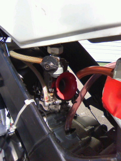 TS3P0356.jpg