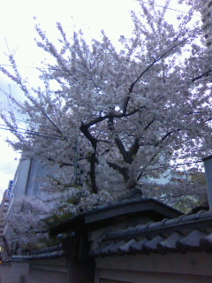 140403_1756~01.jpg