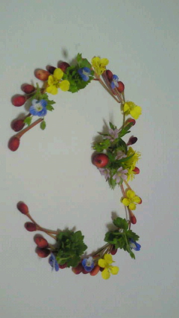 2014050510330000.jpg