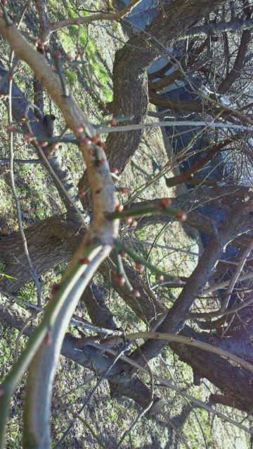 2015010116570000.jpg