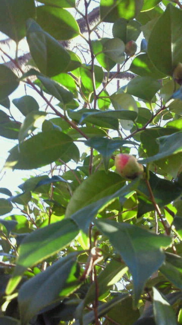 2015010622090000.jpg