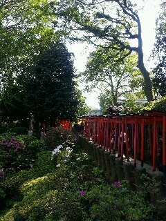 20130426_130906.jpg