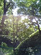 光り輝く♪
