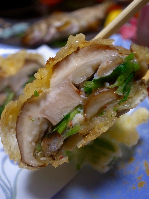 R1171585.jpg