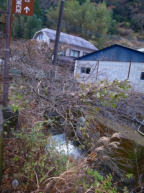 R1167837.jpg