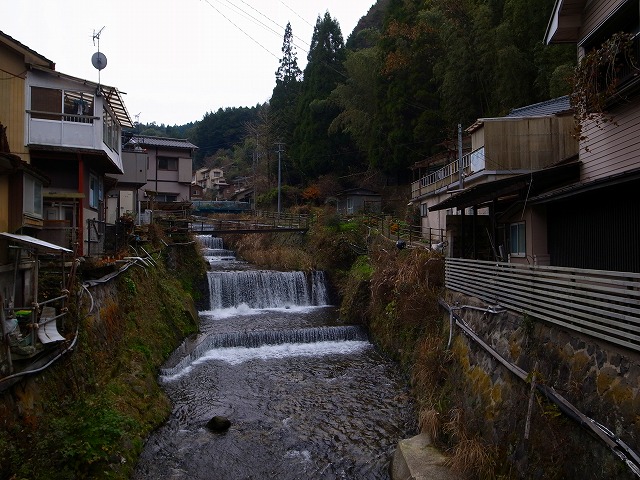 R1167839.jpg
