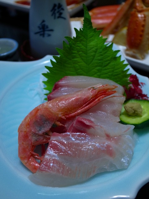 R1140390.jpg