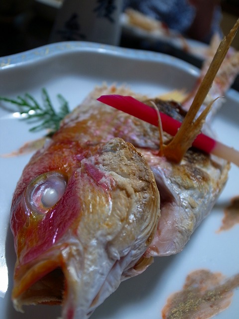 R1140412.jpg