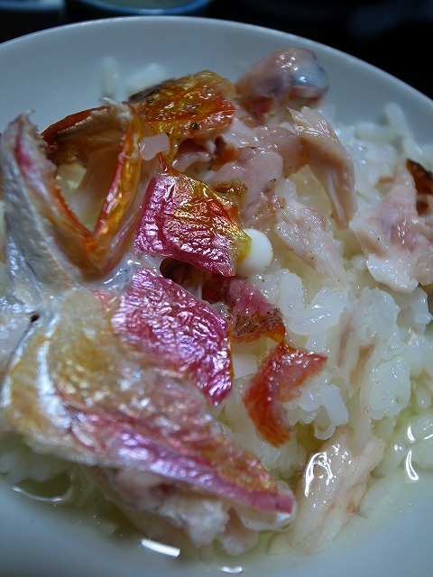 R1140423.jpg