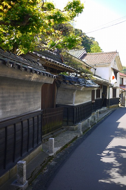 P1120195.jpg