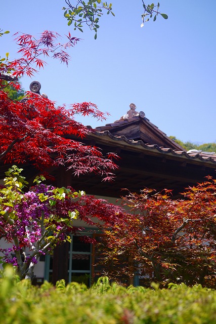 P1120283.jpg