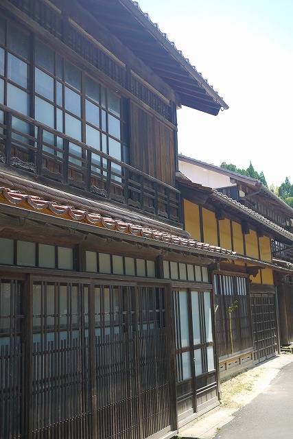 P1120301.jpg