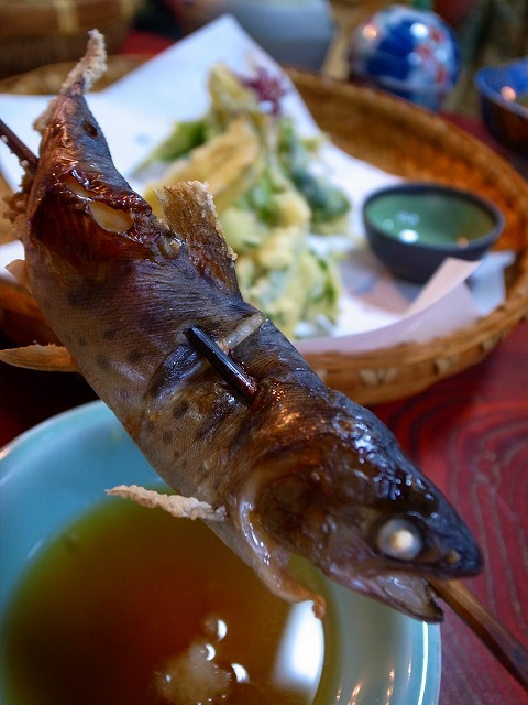 R1135438.jpg