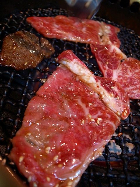 R1231069.jpg