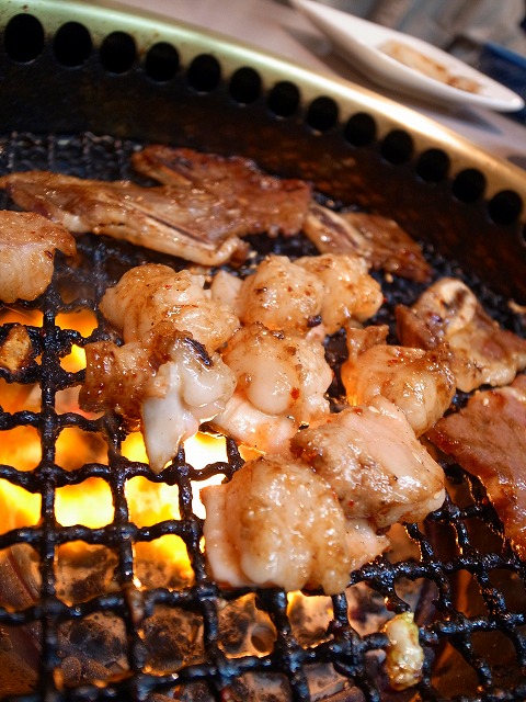 R1231087.jpg