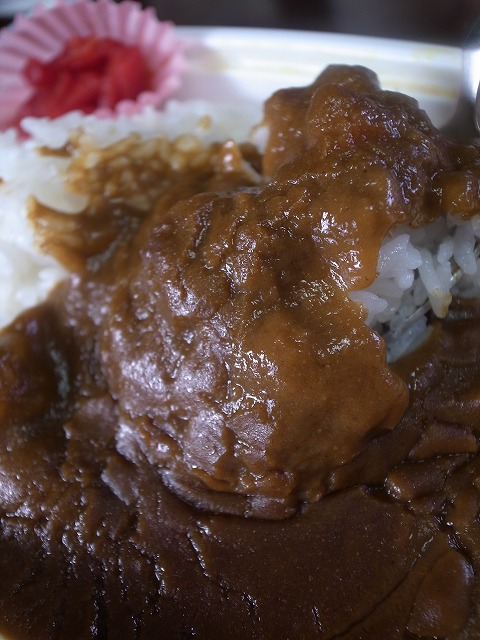 R1236135.jpg