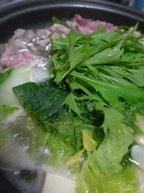 R1236337.jpg