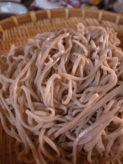 R1300037.jpg