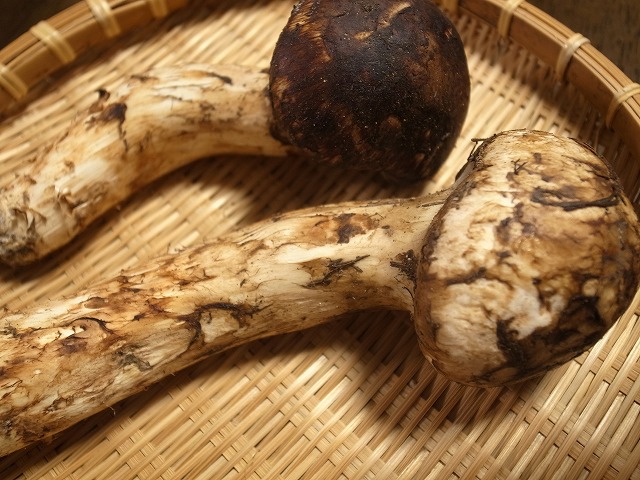 R1300069.jpg