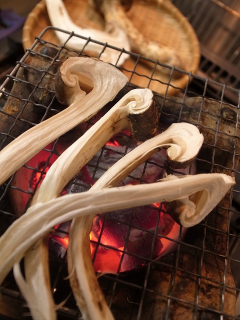 R1300081.jpg