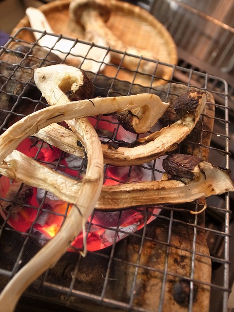 R1300091.jpg