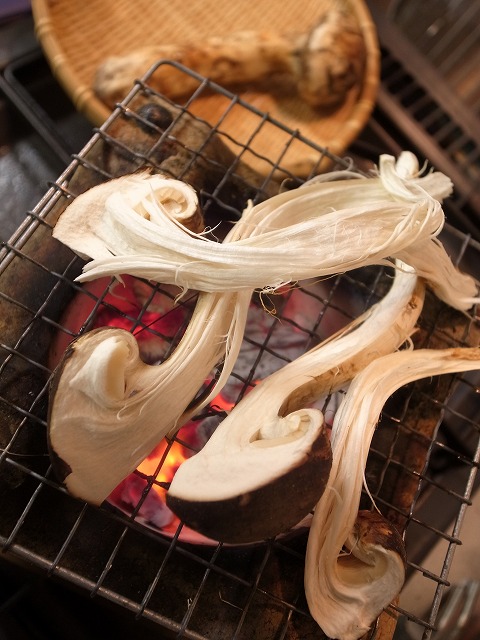 R1300105.jpg