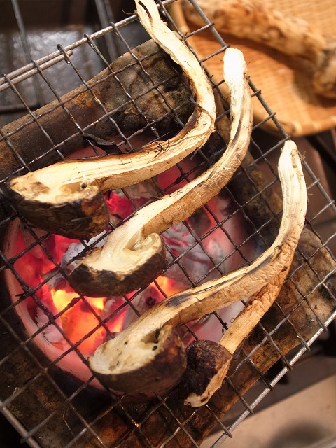 R1300114.jpg