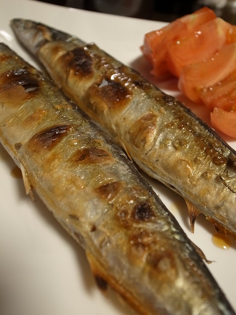 R1300198.jpg