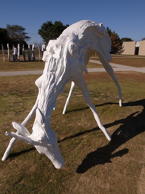 R1300495.jpg
