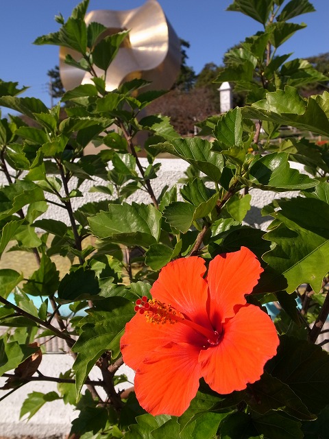 R1300518.jpg