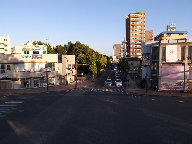 R1300646.jpg