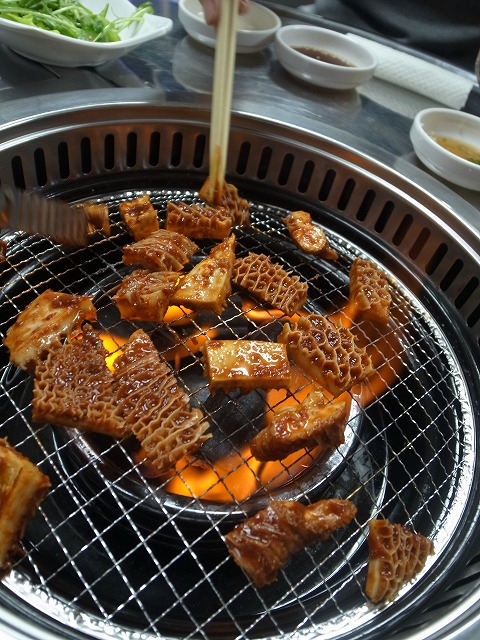 R1300779.jpg