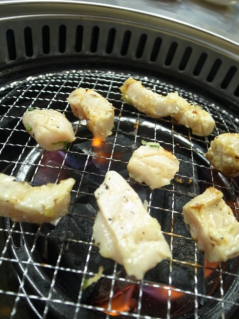 R1300792.jpg