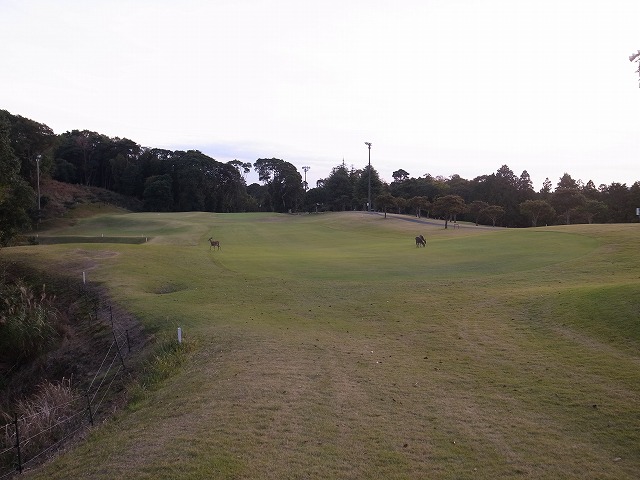 R1301154.jpg