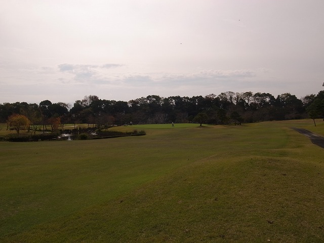 R1301402.jpg