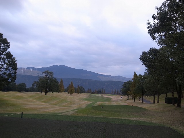 R1301500.jpg