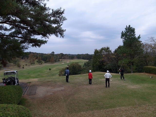 R1301740.jpg