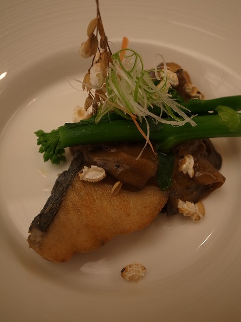 R1301767.jpg